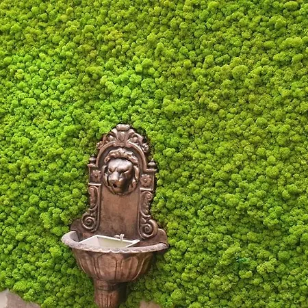 بيت ضيافة Moon's Tower Suite&rooms