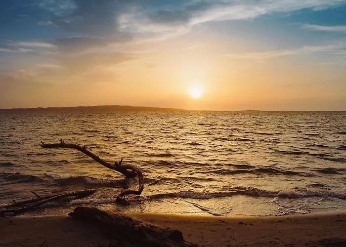 Moon's Tower Suite&rooms 4*